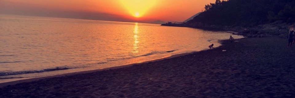 🇦🇱 banner