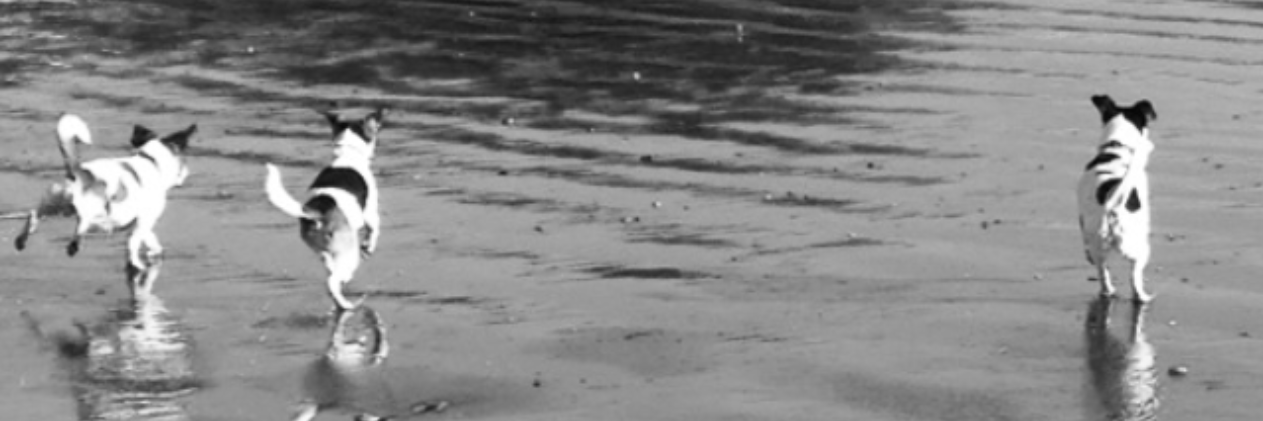paul1vicks's profile banner image