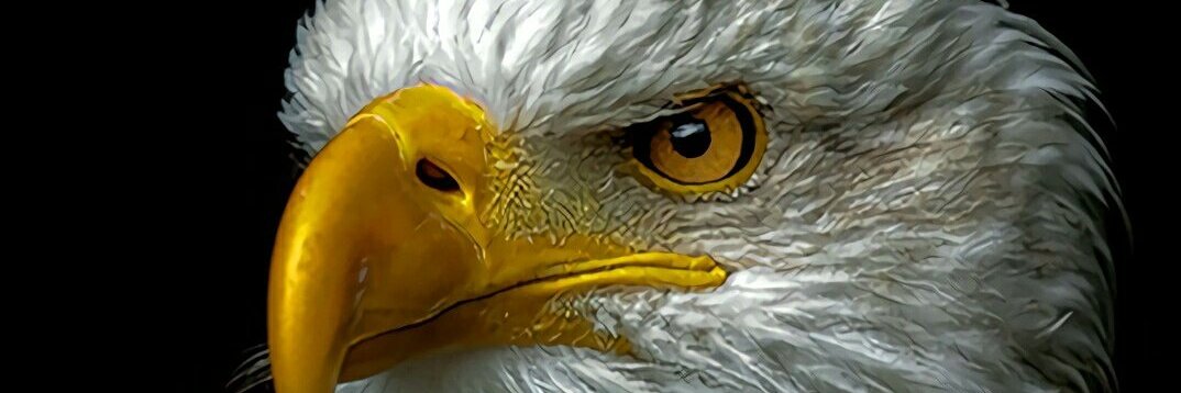 sandyga2's profile banner image