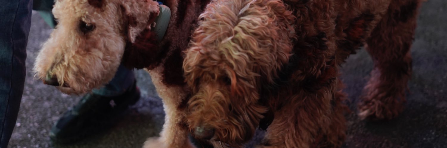 EmmanuelBigboy's profile banner image