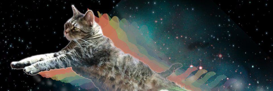 safianouk's profile banner image
