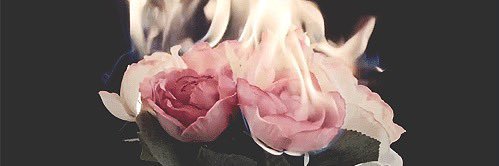 milee ☪︎⋆ ✩ banner