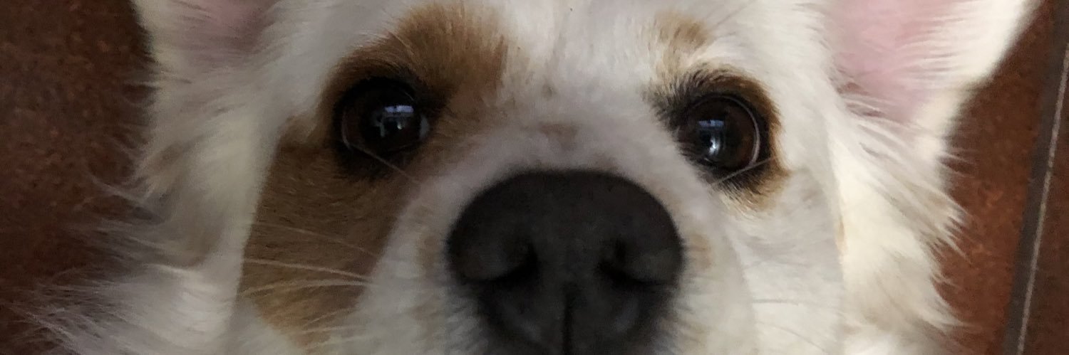 Tyraa424's profile banner image
