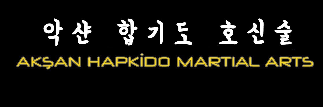 aksanhapkido's profile banner image