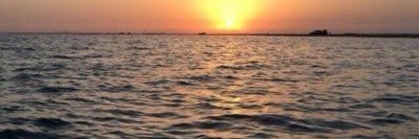 taleb21213 Profile Banner