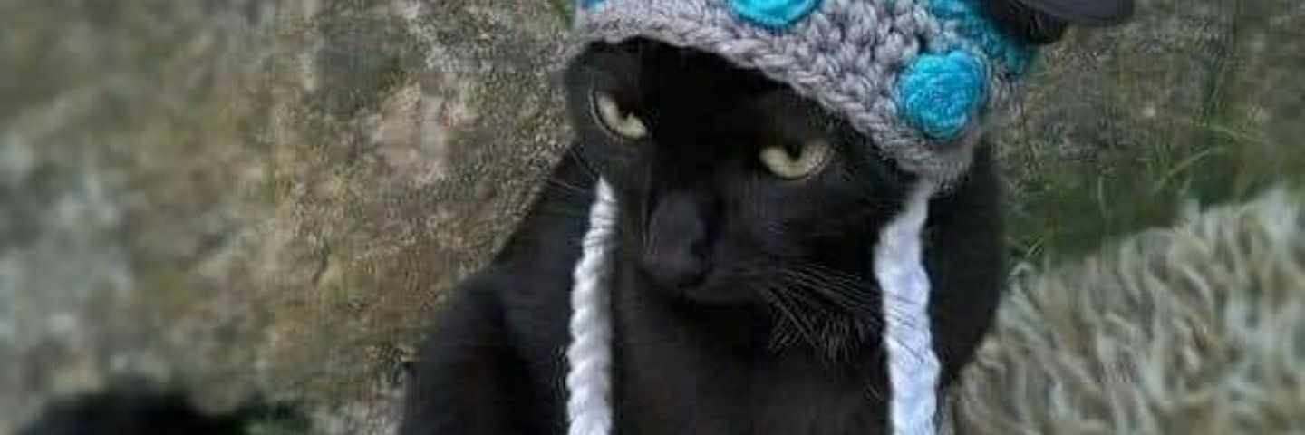 101meow's profile banner image