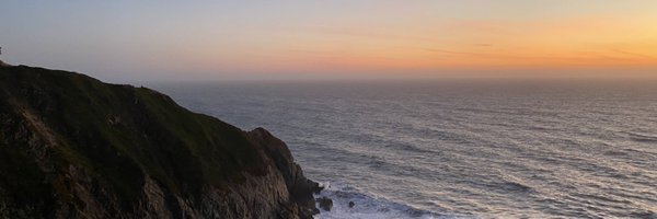 steph_palazzolo Profile Banner