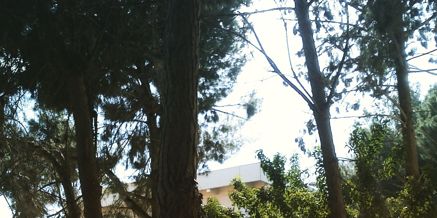 SamoJonas9's profile banner image