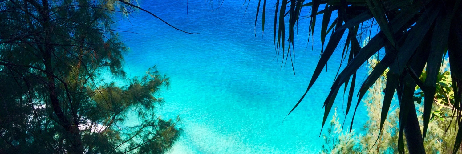 JenCampbellLam's profile banner image