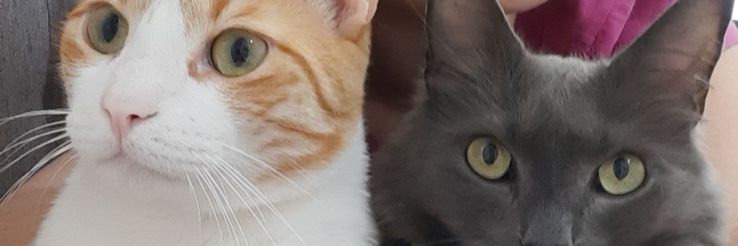 rociosuarez9's profile banner image
