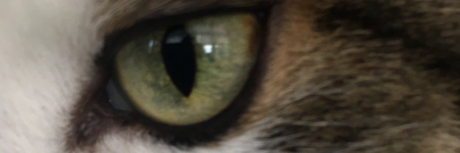 906’er living in the mitten banner