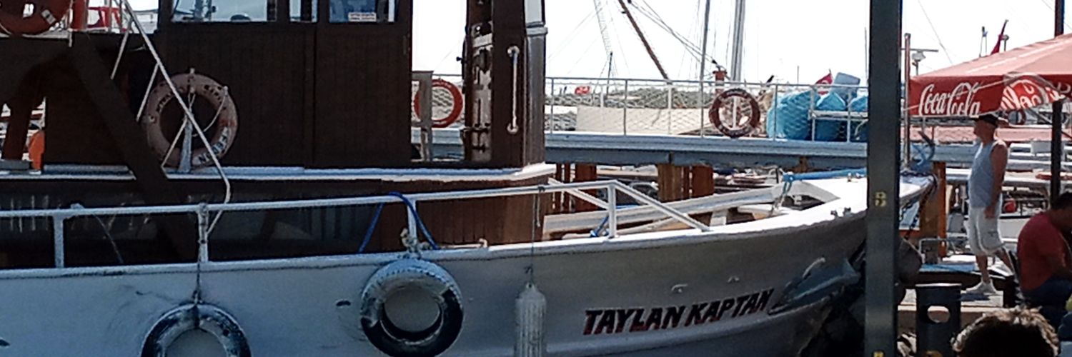 TaylanSENDUR's profile banner image