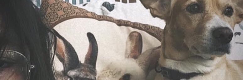 nene_cha__'s profile banner image