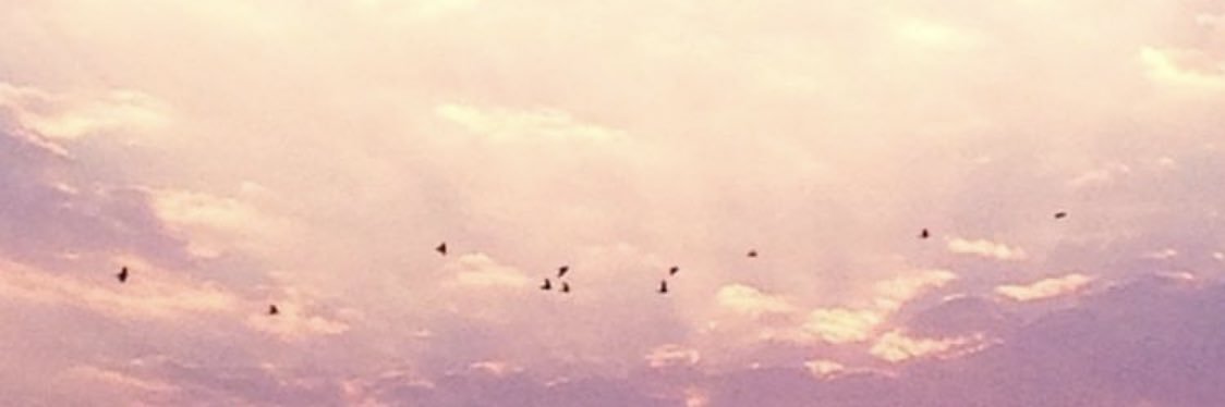 _988__'s profile banner image