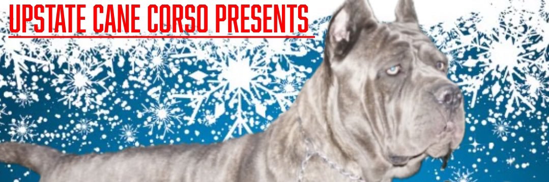 JoshChavezz's profile banner image