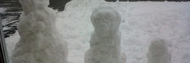 fast as a cat banner