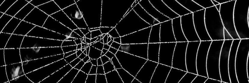 𝔏𝔢𝔵𝔦 ´͈ ᵕ `͈ ♡°◌̊ banner