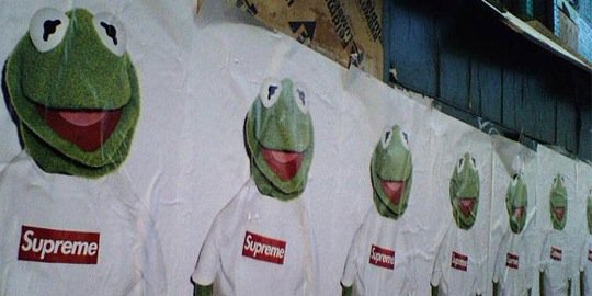 Supreme PROJECT® banner