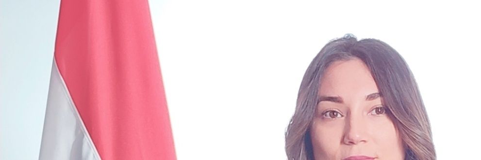 sylvanaArza's profile banner image