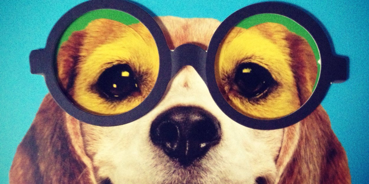 FionaLWatson's profile banner image