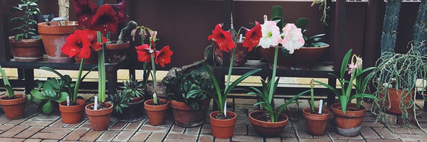 KristiaAnderson's profile banner image