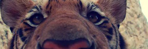 MarceVera_'s profile banner image
