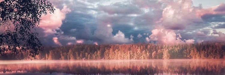 MeganePichot's profile banner image
