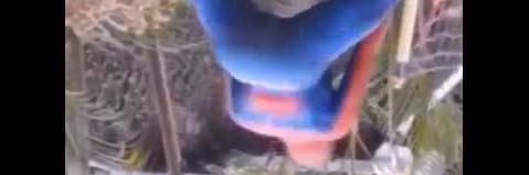 Carpincho's lover banner