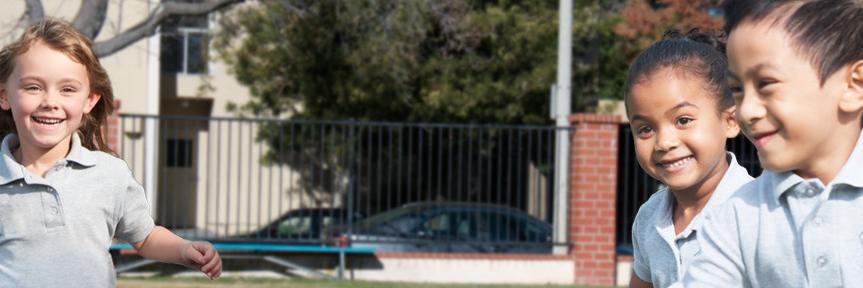 Our Lady of Lourdes banner