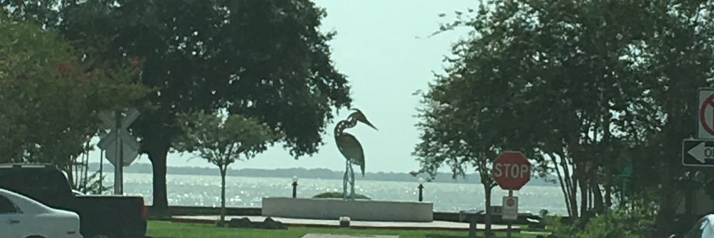 CentralFLGrl's profile banner image