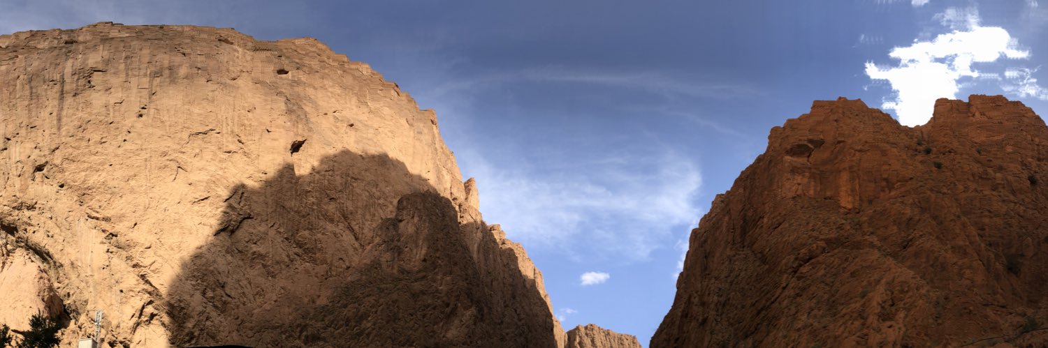 toni 🏳️‍🌈 banner