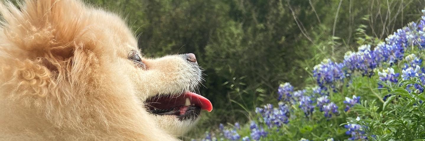 katyagarzza's profile banner image