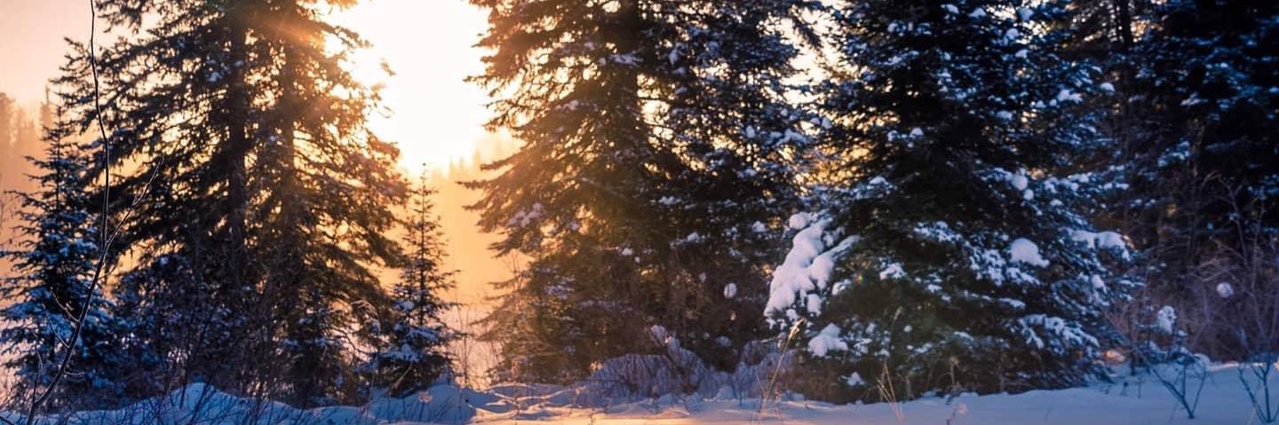 VickeyCooke's profile banner image
