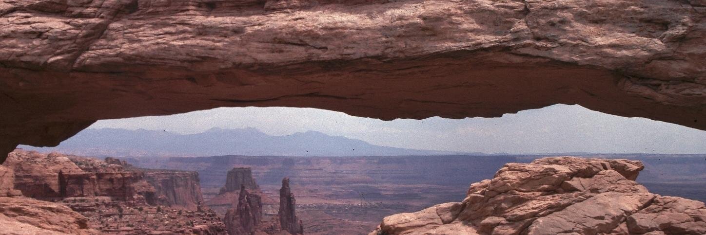 Ray Rochefort banner