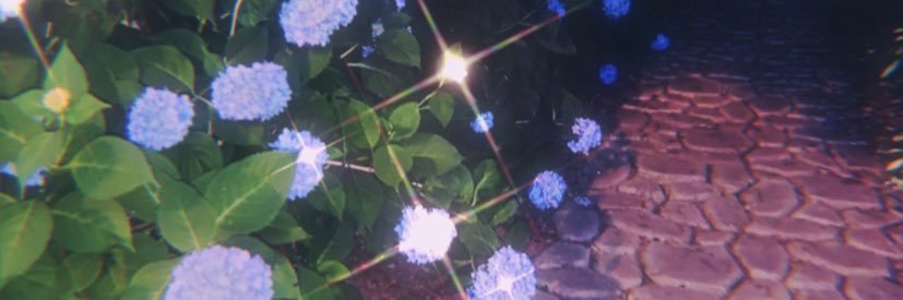 bsaun99's profile banner image