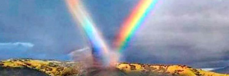 Nancyyyrubi's profile banner image