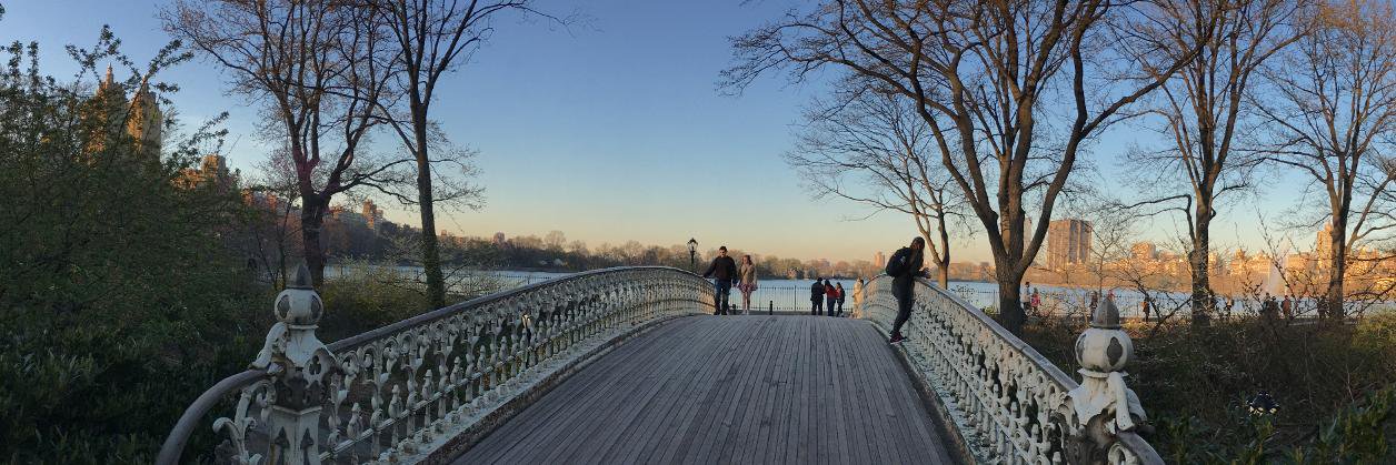 Martin Gregorio banner