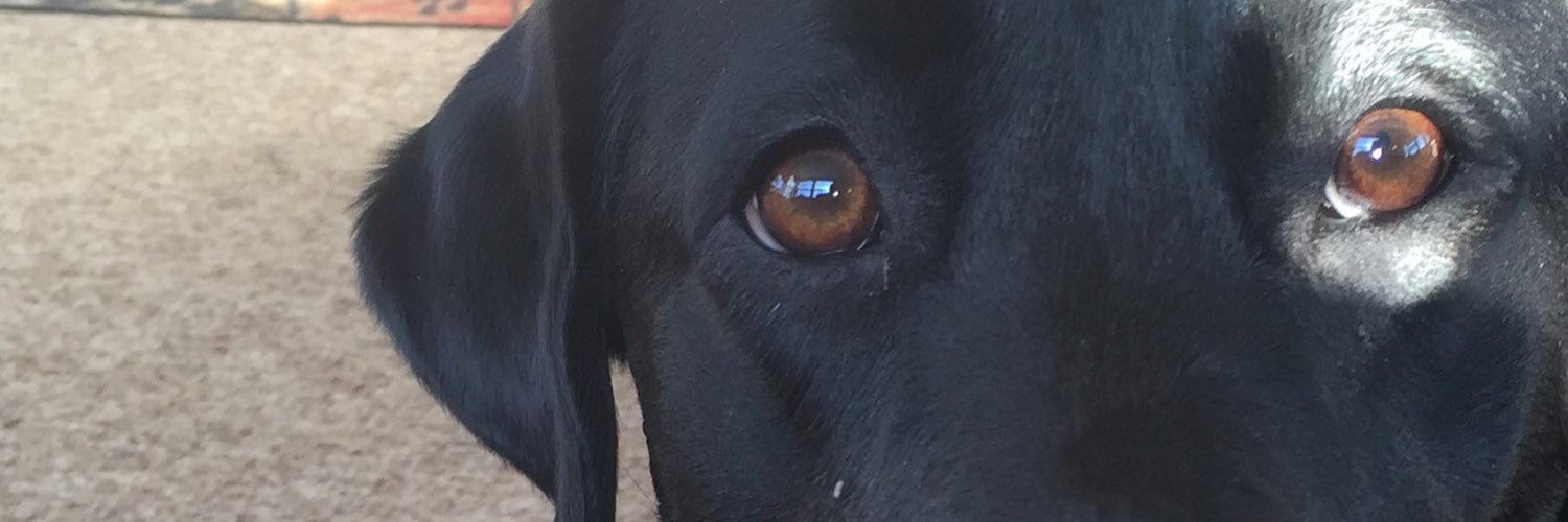 jennatomaski's profile banner image