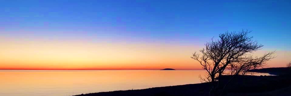 Olle Zachrison banner