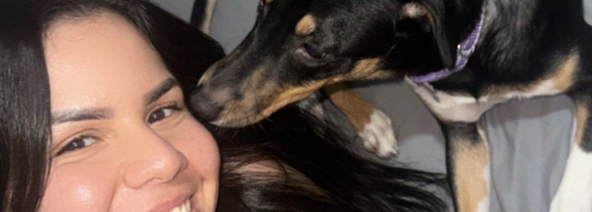 meelcarvalho2's profile banner image
