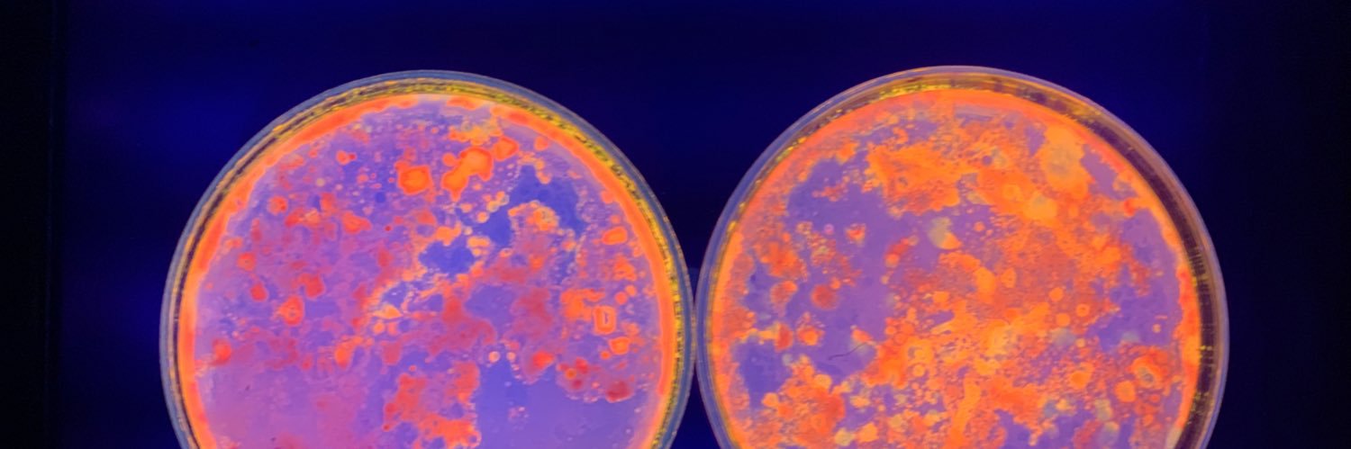 ୨ৎmilsss⋅˚₊‧ banner