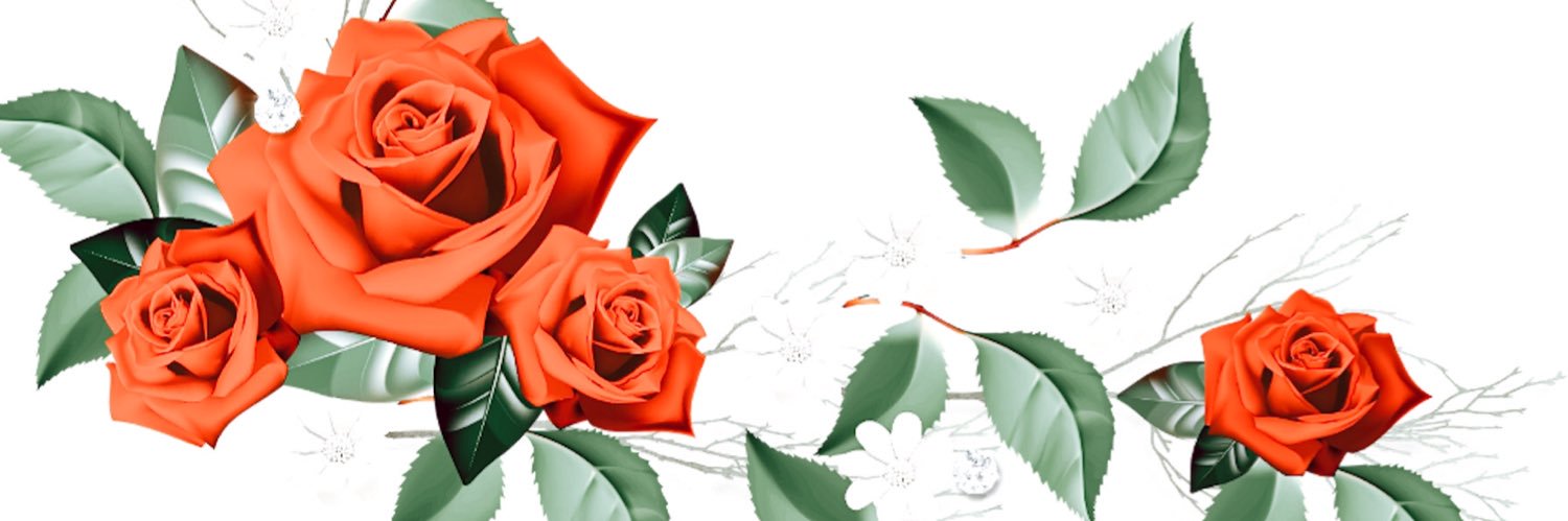 EmilyReifert's profile banner image