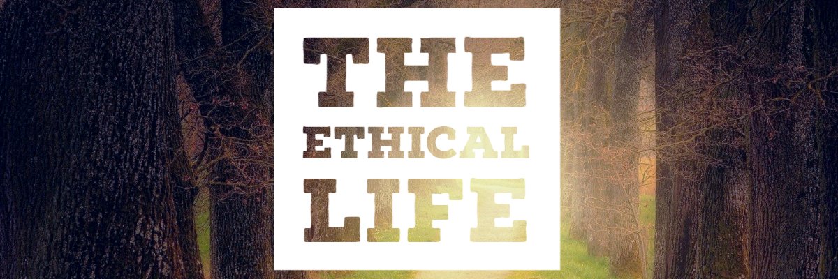 TribScott's profile banner image