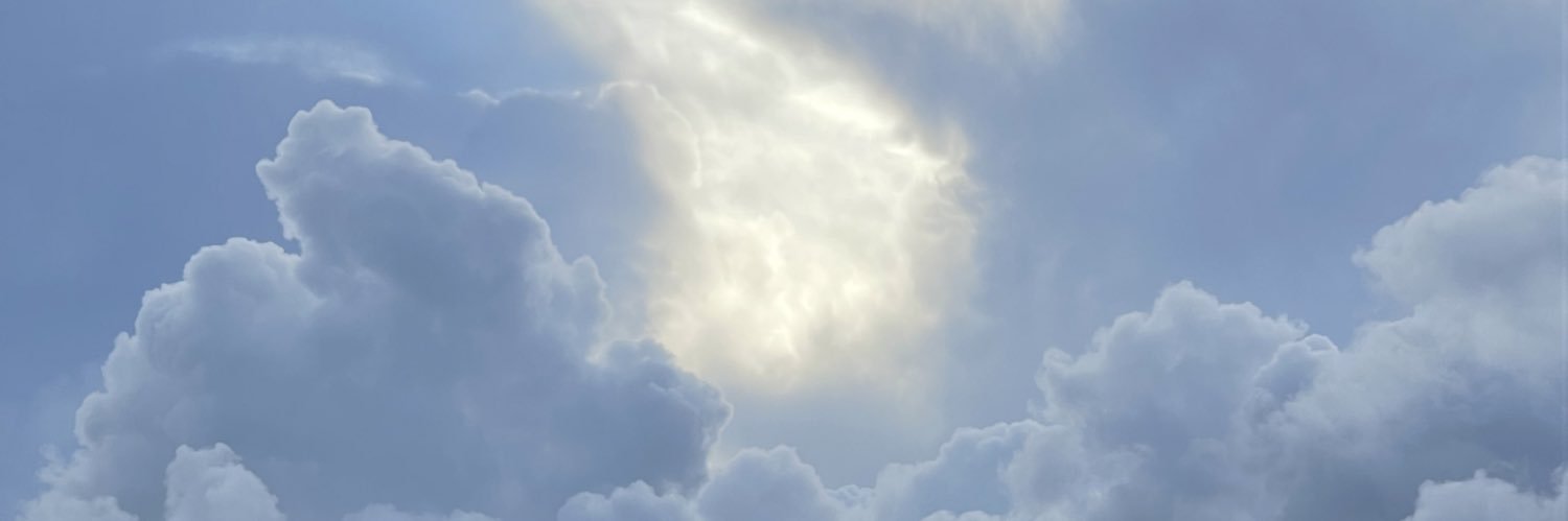 darleza's profile banner image