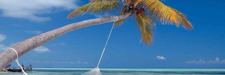 Jinder Sarowa banner