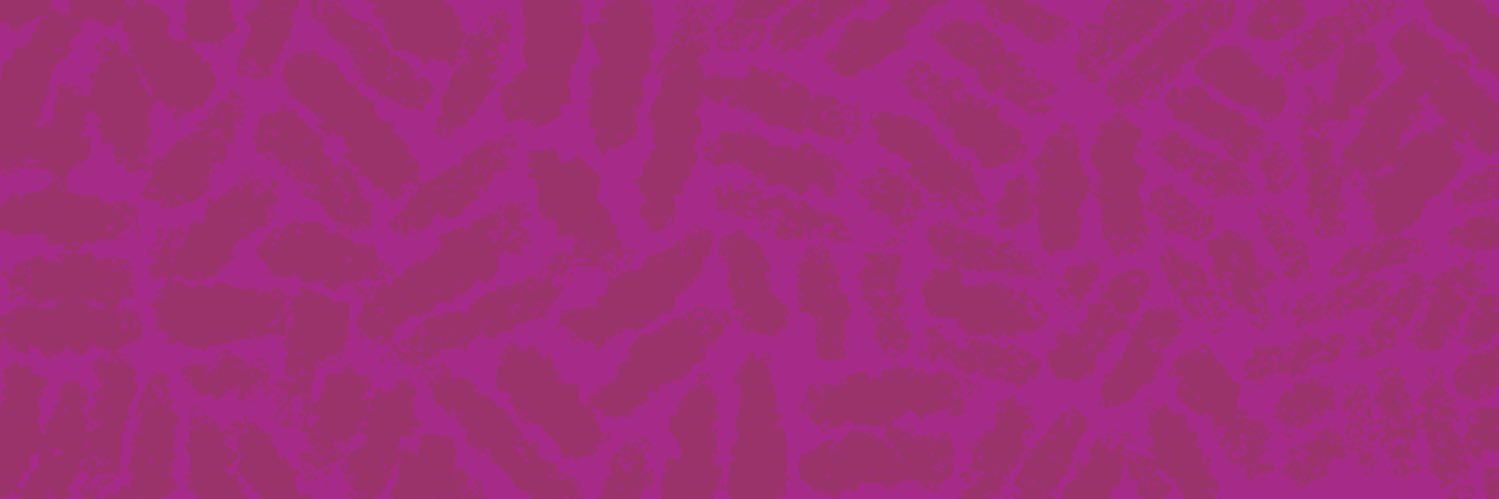 ZevRevik's profile banner image