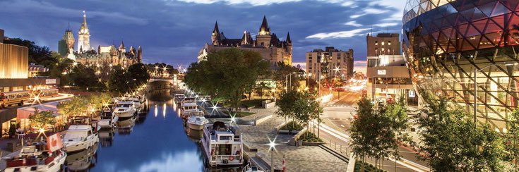 Diane Pernari banner