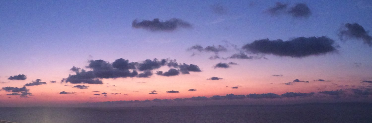 leaverlin's profile banner image