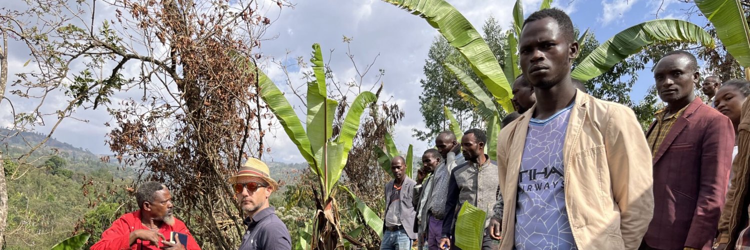 Condesa Co. Lab banner