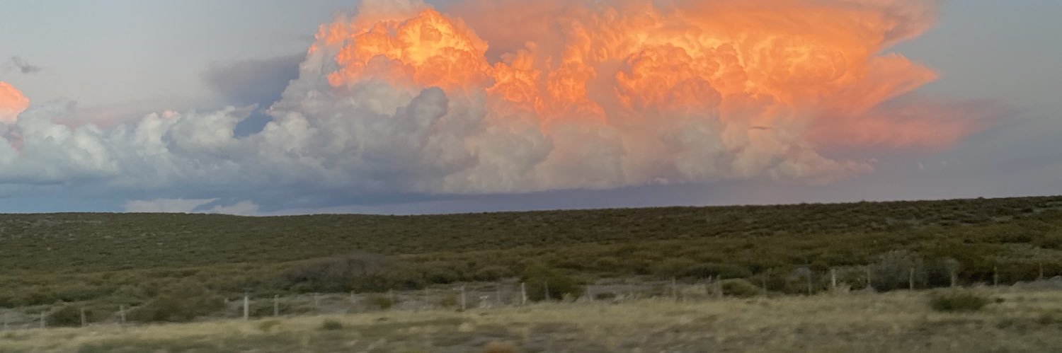 Conicannatella's profile banner image